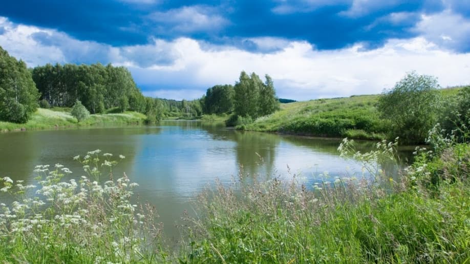 Гремячки