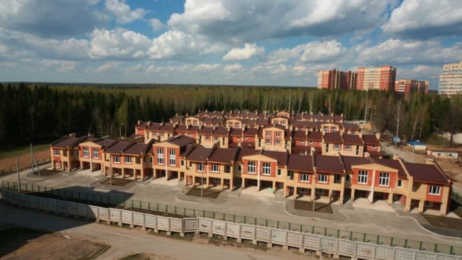 Боровики