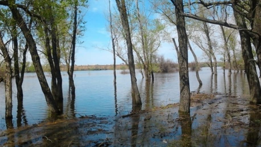 Царицынская Усадьба на Ахтубе