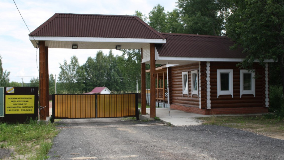 Лесные дали