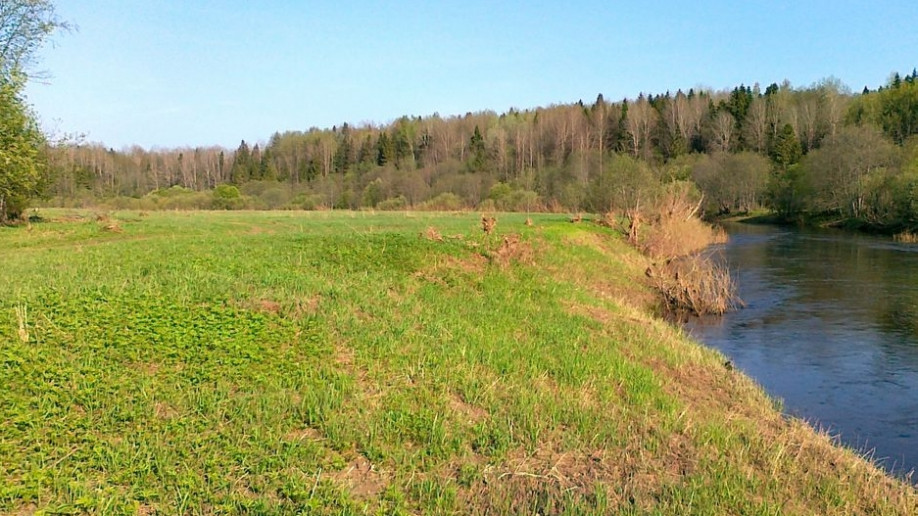 Матвеевское