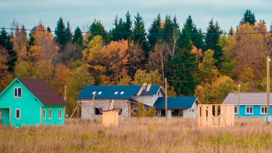 Лесная Привилегия