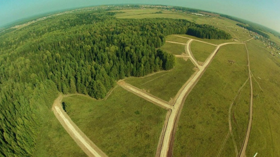 Лесная гавань