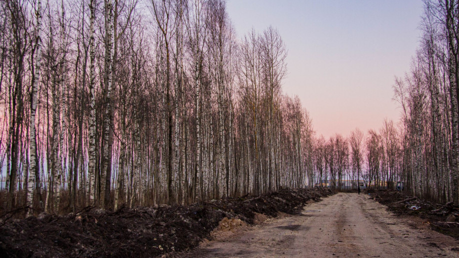 Графская Усадьба