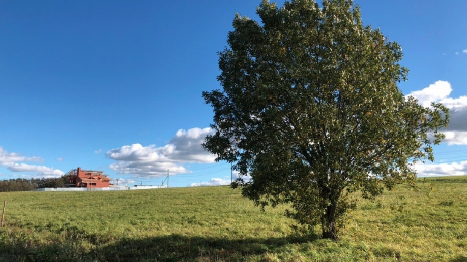 Царский склон 2