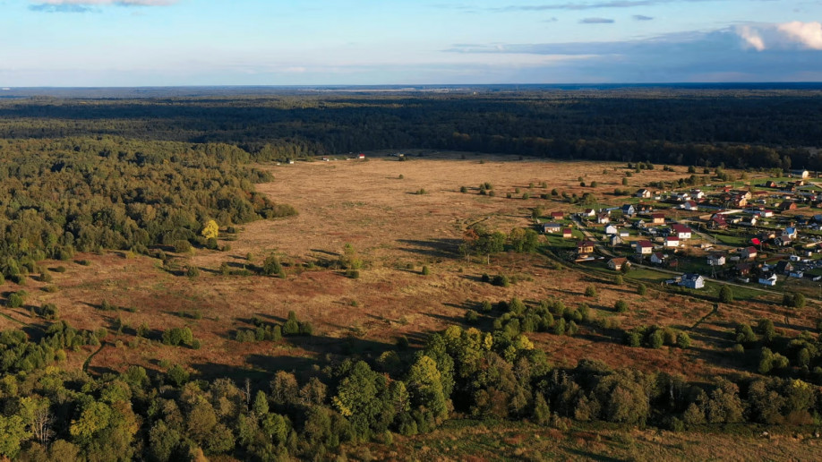 Воронино парк