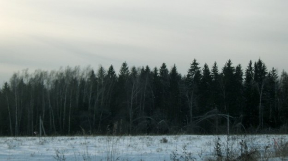 Вознесенское