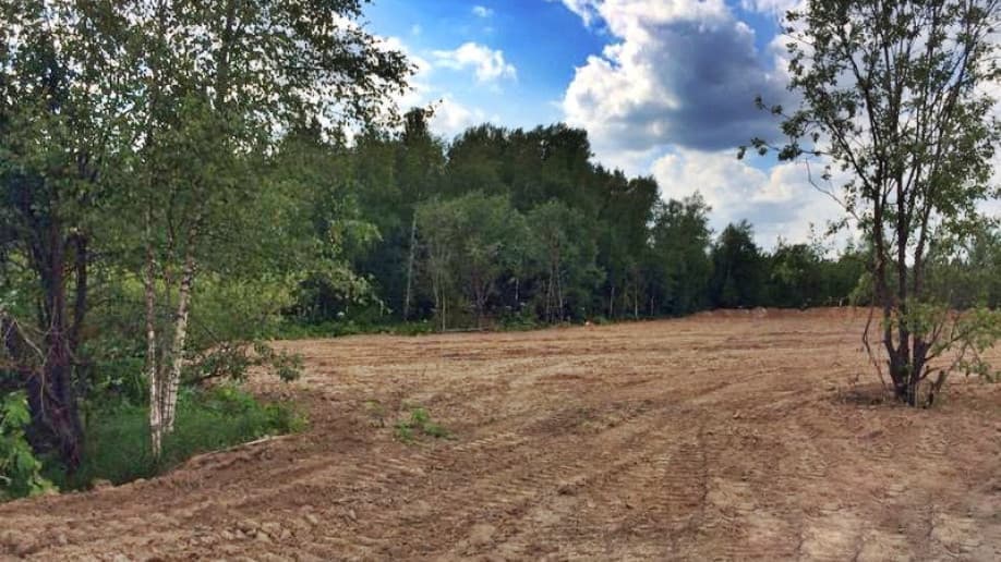 Тюльпаново