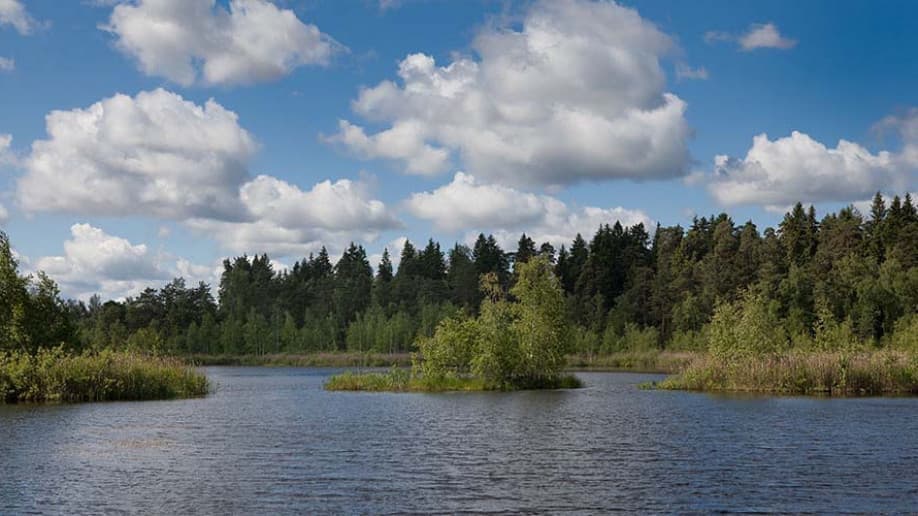 Середниково