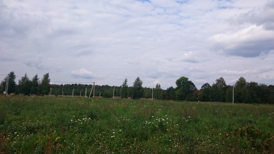 Селинские Дачи