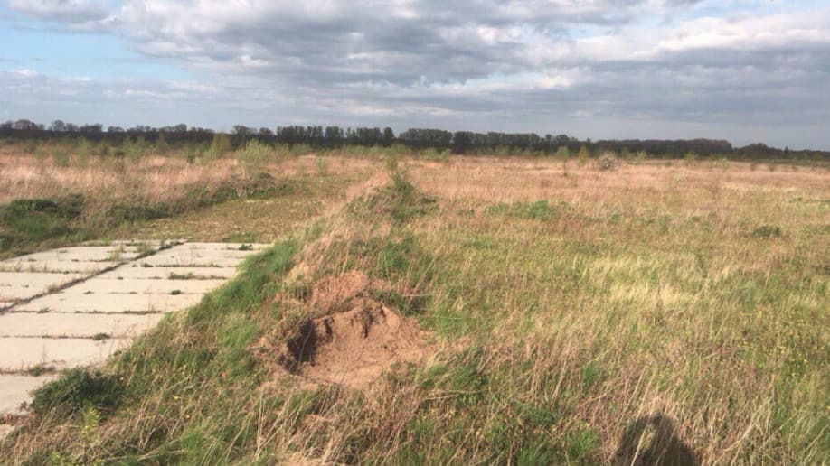 Вишневая сотка