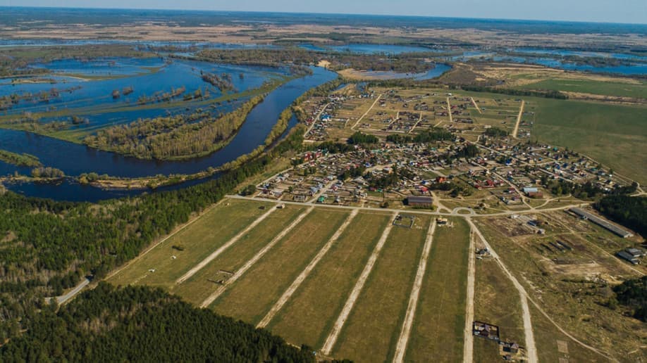 Лес. Река. Криводанова