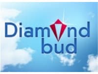 ИСК «Димант Буд» (Diamond Bud)