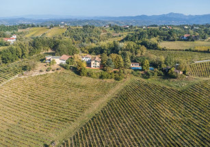 Классический виноградник в Италии выставлен на аукцион