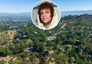 Внук Боба Дилана купил дом на Голливудских холмах
