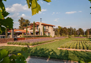 В Мексике продается роскошное поместье с виноградником