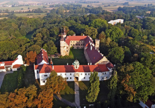 Польский город предлагает свой замок Илону Маску