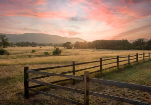 В Техасе продается огромное поместье на 350 га с зелеными угодьями