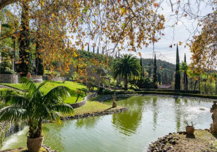 Ранчо соучредителя Herbalife в Южной Калифорнии ищет нового владельца