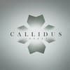 info@callidus-invest.com