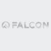 falcon.clients@na100.pro