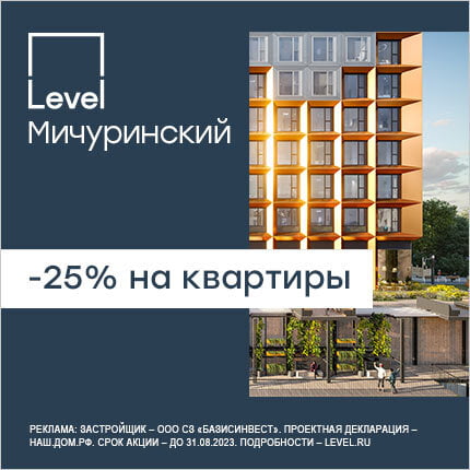 Level Мичуринский