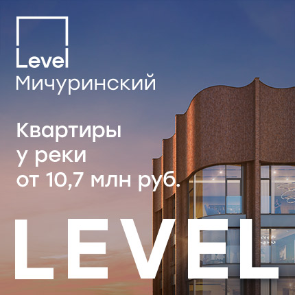 Level Мичуринский