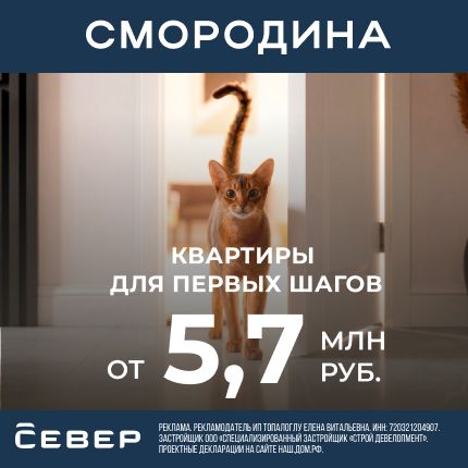 Жилой комплекс «Смородина»