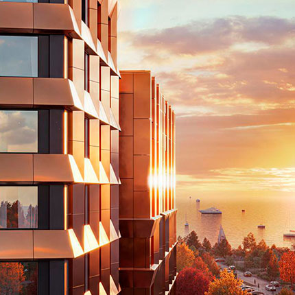 Проект «Новая Земля»